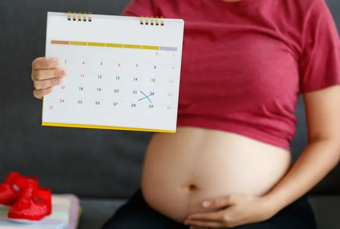 Calculadora de Fertilidade - Calculadora de Período Fértil Ferticlin